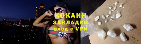 дживик Мегион