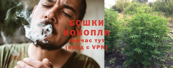 Альфа ПВП Майский
