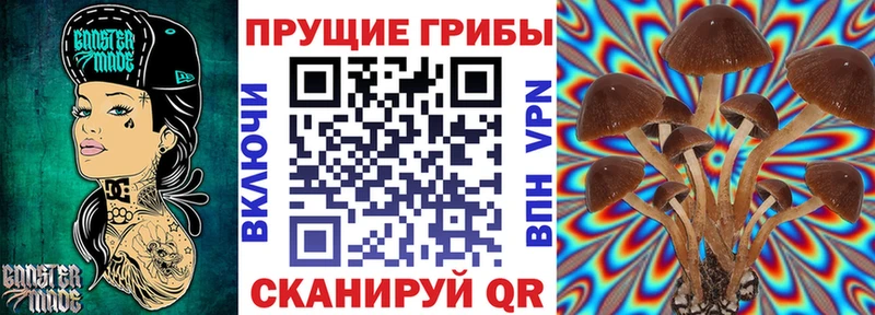 нарко площадка наркотические препараты  Дивногорск  Галлюциногенные грибы мицелий  где купить  