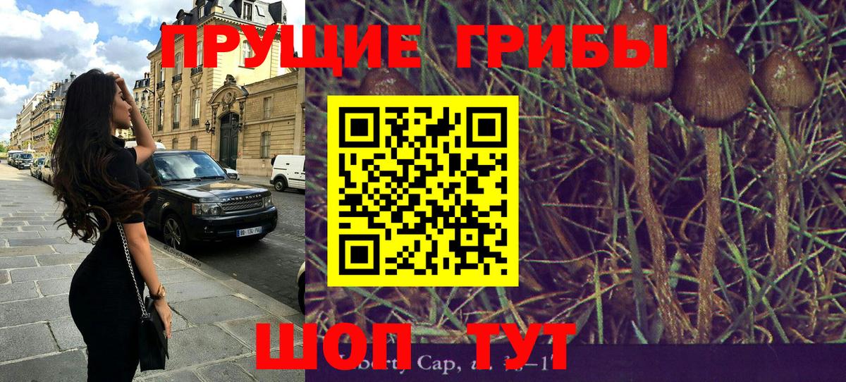 Галлюциногенные грибы Magic Shrooms  Вход с VPN  Дивногорск 